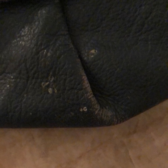 Blue Hogan Butterfly Bag - Picture 3 of 4